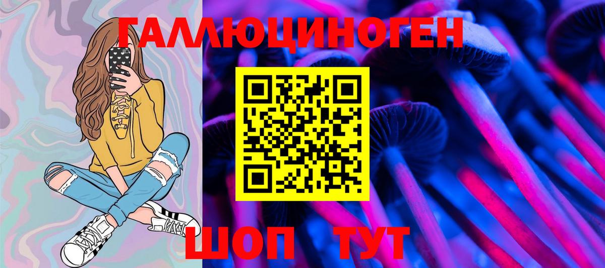 Псилоцибиновые грибы Cubensis Борисоглебск