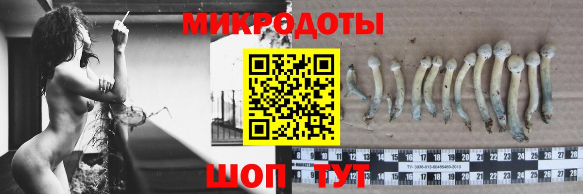Борисоглебск  Псилоцибиновые грибы Psilocybe  Вход с VPN  Псилоцибиновые грибы мухоморы 